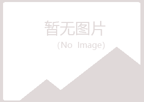 青海夏岚音乐有限公司